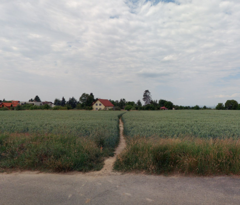 Upravíme vyšlapanou zkratku ze Strašína do Pacova